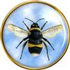 Spilla Alette Bumblebee