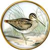 Spilla A Bavero Woodcock