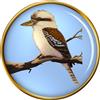 Spilla Kookaburra