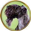 Kerry Blu Cane Terrier Distintivo di Lapel Pin