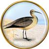 Spilla A Pin Di Curlew