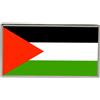 Spilla Con Distintivo Della Bandiera Palestinese