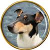 Liscio Collie Cane Distintivo di Lapel Pin