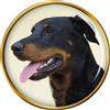 Spilla A Risvolto Per Cane Beauceron