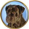 Canna Corso Cane Distintivo di Lapel Pin