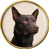 Australiano Kelpie Cane Distintivo di Lapel Pin