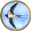Spilla A Pin Di Collo Swallow