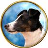 Spilla Anteriore Per Cani Smooth Fox Terrier