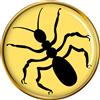 Spilla Da Giacca Ant