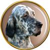 Spilla Per Lappo Di Setter Inglese