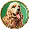 Americana Cocker Spaniel Cane Distintivo di Lapel Pin