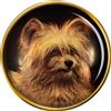 Skye Cane Terrier Distintivo di Lapel Pin