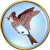 Skylark Spilla Badge