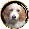 Otterhound Cane Distintivo di Lapel Pin
