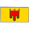 Spilla Distintivo Risvolto Bandiera Auvergne (France) Con Fibbia Farfalla 23mm