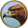 Dorato Aquila Distintivo di Lapel Pin