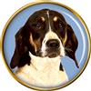 Americana Foxhound Cane Distintivo di Lapel Pin