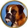 Spilla A Forma Di Boxer