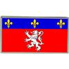 Spilla A Forma Di Bandiera Di Lione (Francia)