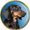 Miniatura Dachshund Ritratto Distintivo di Lapel Pin