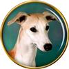 Spilla Insegna Per Cani Whippet