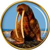 Spilla A Forma Di Walrus