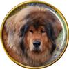 Distintivo Spilla Per Cani Mastino Tibetano