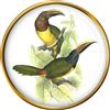 Spilla Verde Aracari (Di Edward Lear)