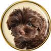 Havanese Cane Distintivo di Lapel Pin