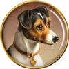 Spilla Per Colletto Di Cane Jack Russell Di Carl Reichert