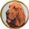 Segugio Cane Distintivo di Lapel Pin