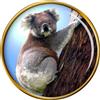 Spilla Koala Bear