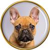 Francese Bulldog Distintivo di Lapel Pin