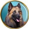 Belga Shepherd Cane (Tervuren) Distintivo di Lapel Pin