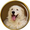 Kuvasz Cane Distintivo di Lapel Pin