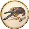 Spilla Kestrel