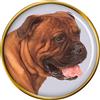 Distintivo Spilla Bullmastiff