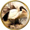 Spilla Ibis