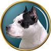 Americana Fossa Bull Terrier Cane Distintivo di Lapel Pin