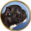 Francese Bulldog Profilo Distintivo di Lapel Pin