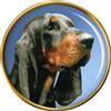 Nero E Marroncino Coonhound Cane Distintivo di Lapel Pin