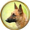 Belga Shepherd Cane (Malinois) Distintivo di Lapel Pin