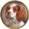 Gallese Springer Spaniel Cane Distintivo di Lapel Pin