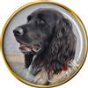 Grande Munsterlander Großer Münsterländer Cane Distintivo di Lapel Pin