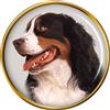 Cane Bovaro Del Bernese Distintivo di Lapel Pin