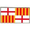 Spilla A Piè Di Bandiera Di Barcellona (Spagna)