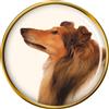 Grezza Collie Distintivo di Lapel Pin