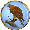 Spilla Per Giacca Red Kite