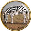 Zebra Pascolo Distintivo di Lapel Pin