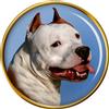 Badge Spilla Per Cani American Staffordshire Terrier